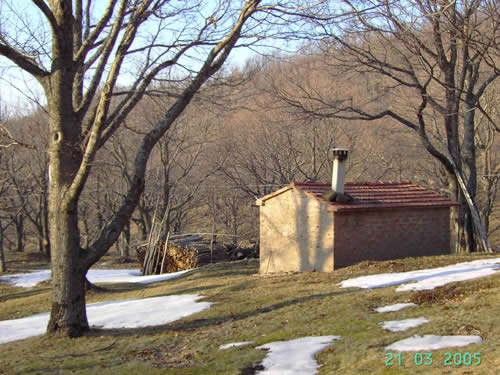 Seccatoio a Castel del Piano